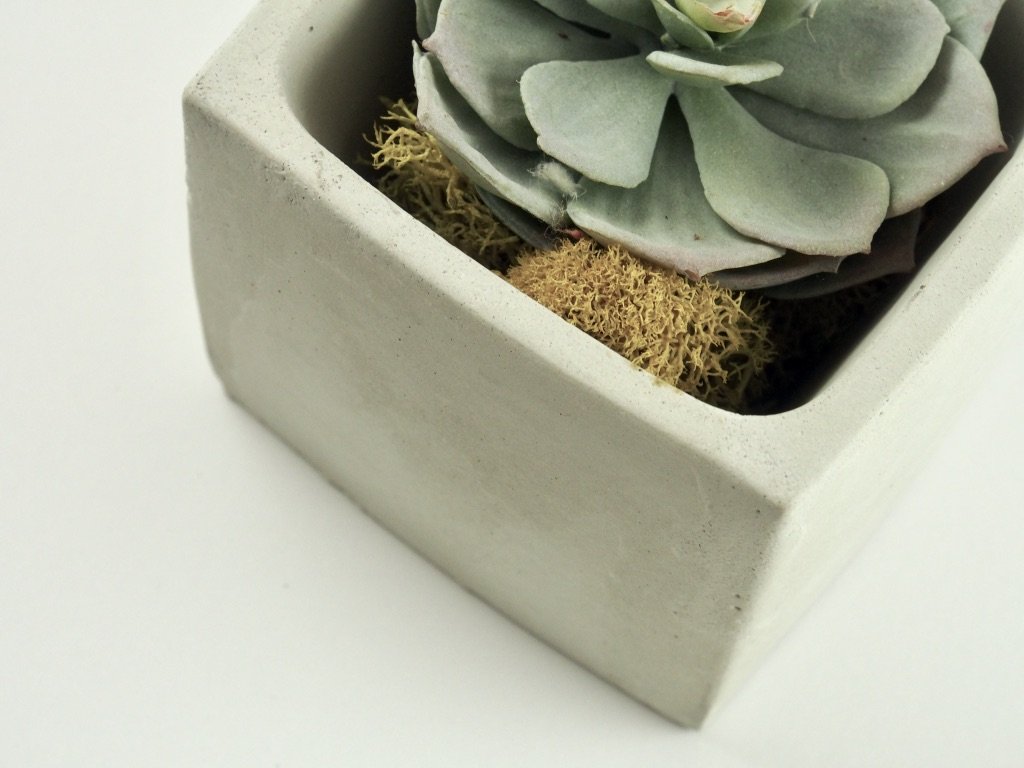 Concrete Planter with succulent view from top, modern home decor